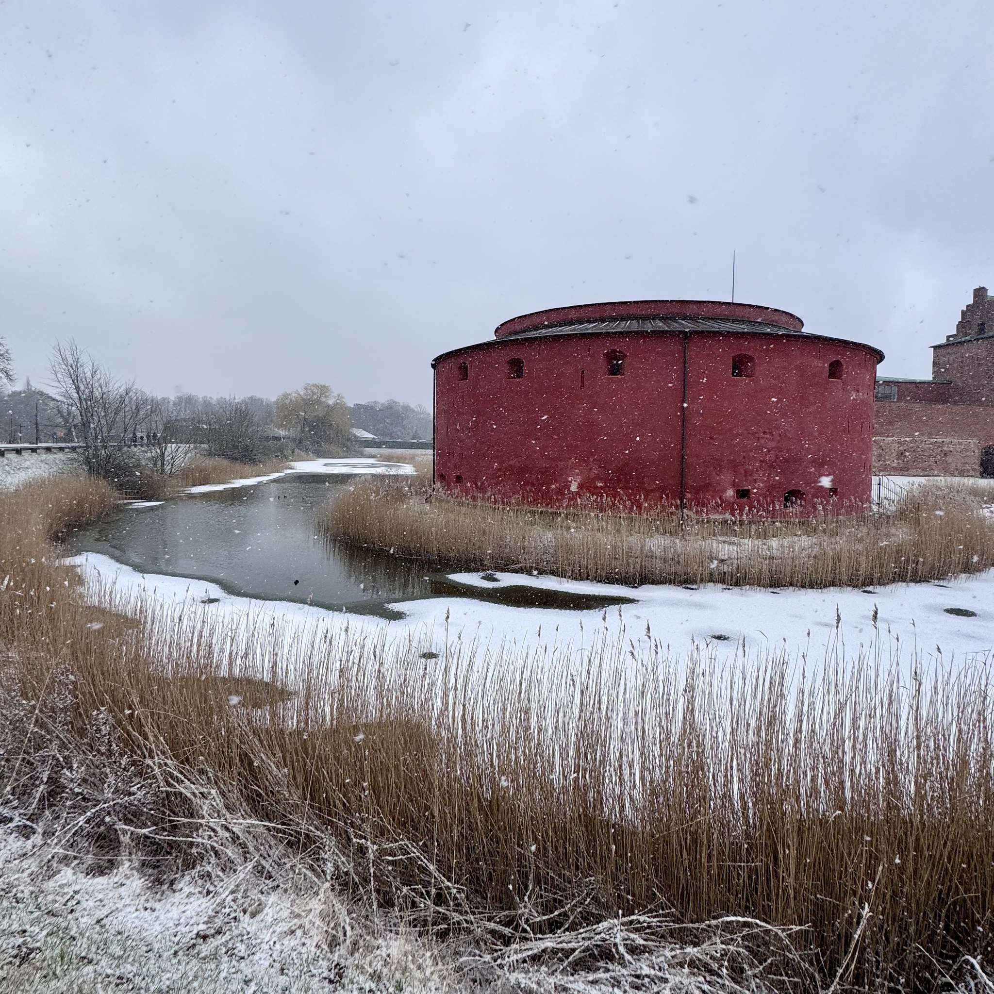 PROGETTO MONDO - Copenaghen