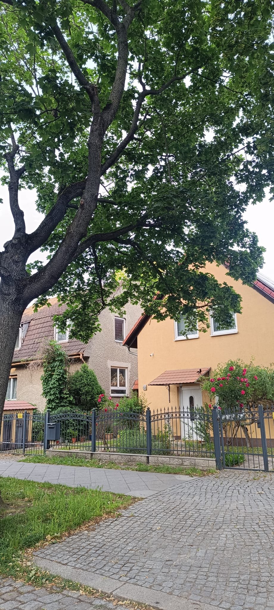 PROGETTO MONDO - Berlino