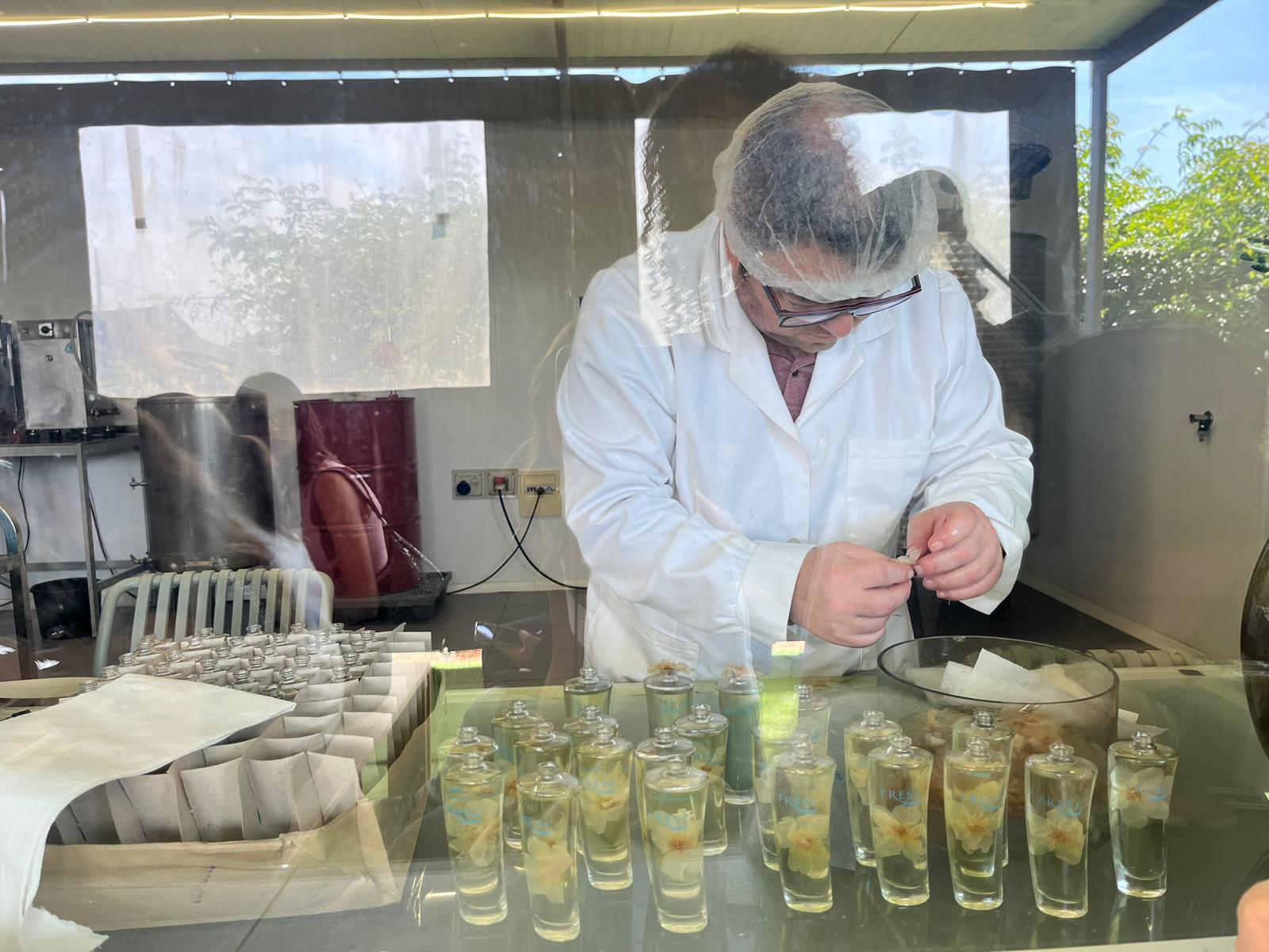 PROGETTO MONDO - Palma de Maiorca