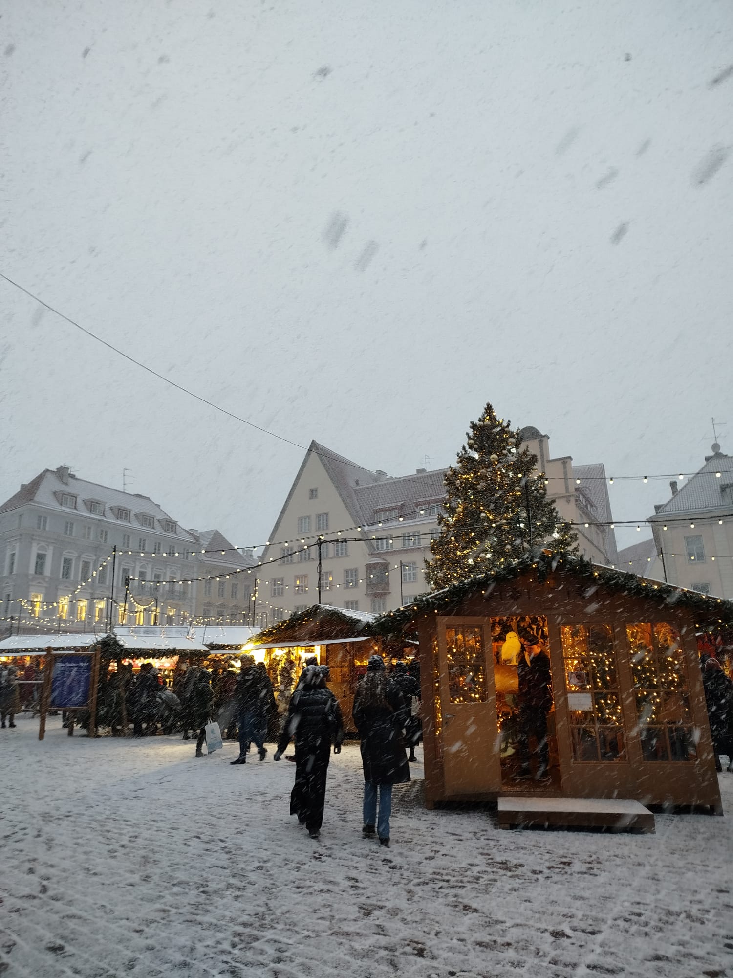 PROGETTO MONDO - Tallin